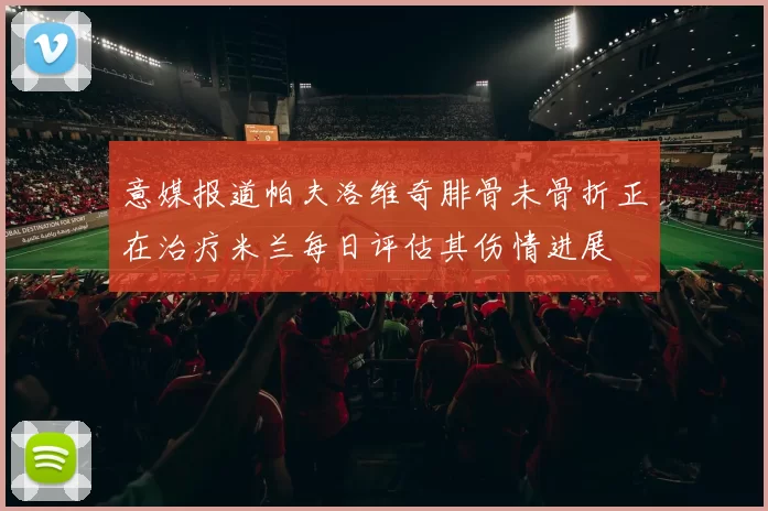 意媒报道帕夫洛维奇腓骨未骨折正在治疗米兰每日评估其伤情进展