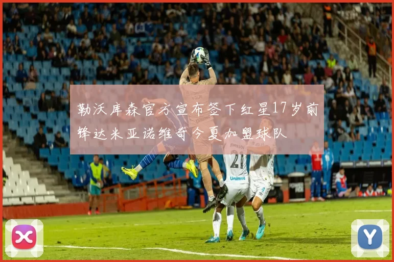 勒沃库森官方宣布签下红星17岁前锋达米亚诺维奇今夏加盟球队